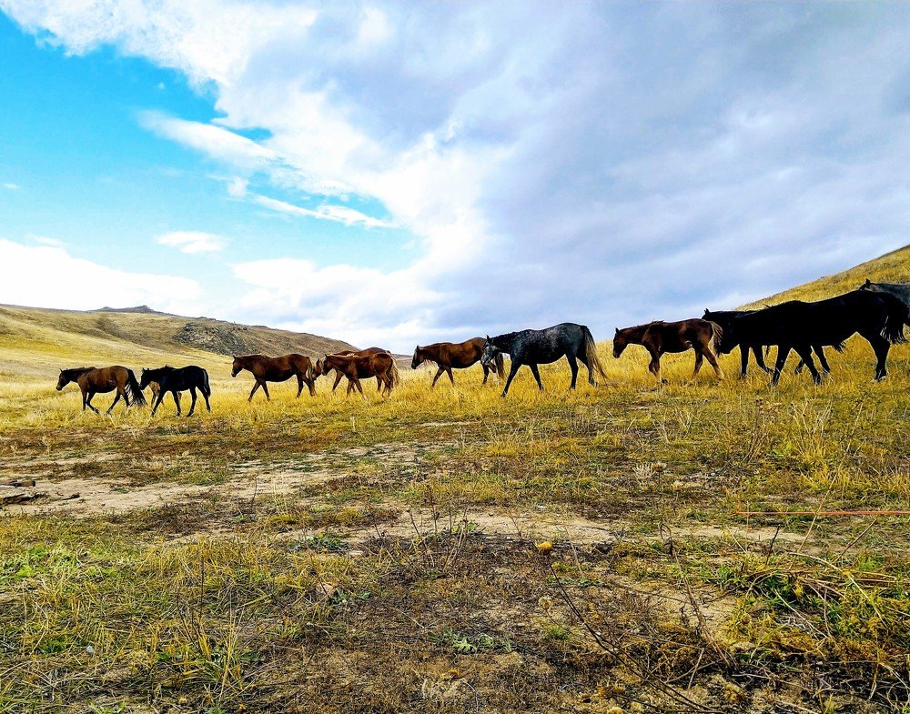 Photograph by Иван Фокин