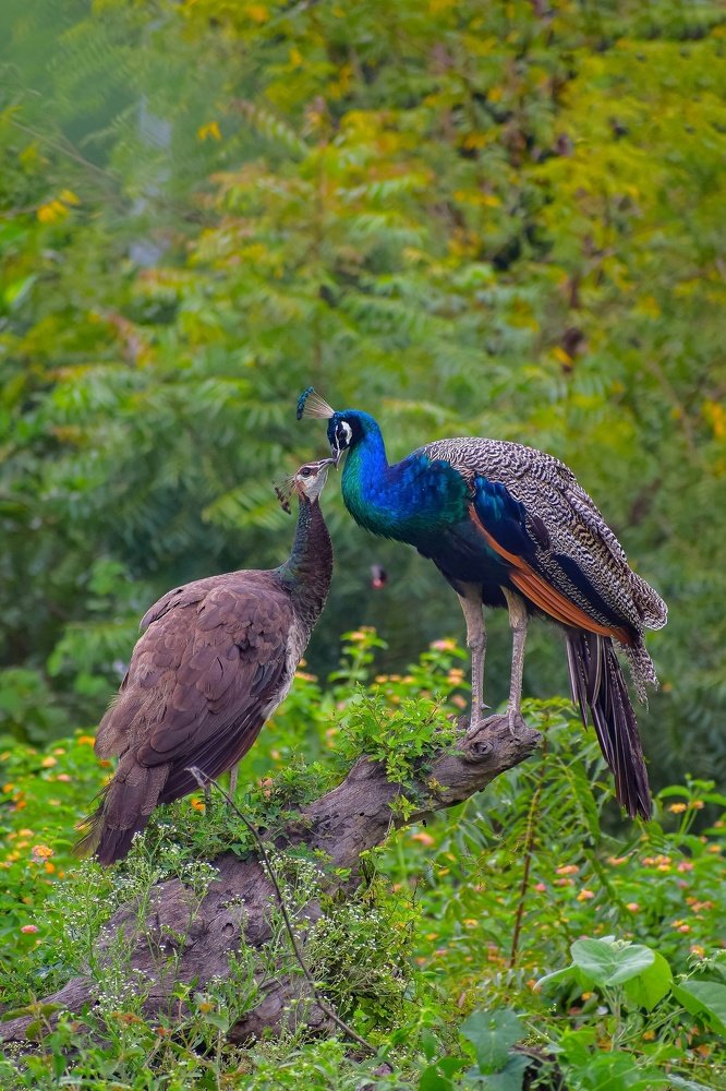 Most precious moments