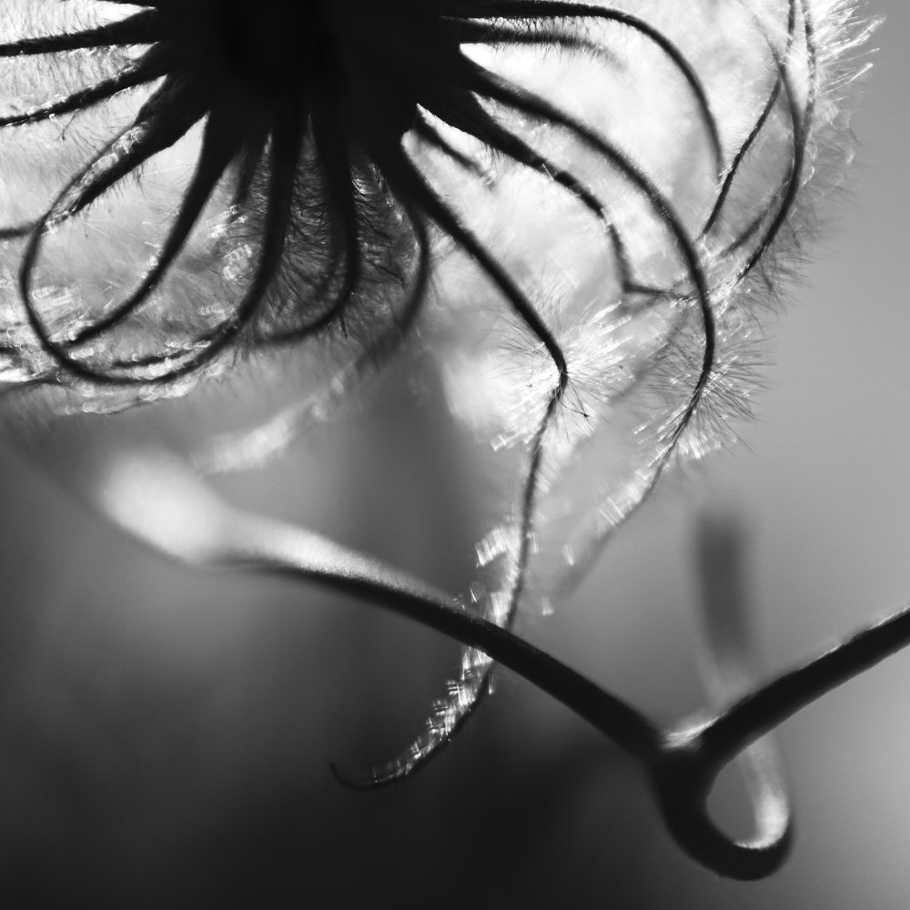 Photograph by Светлана Теперкина