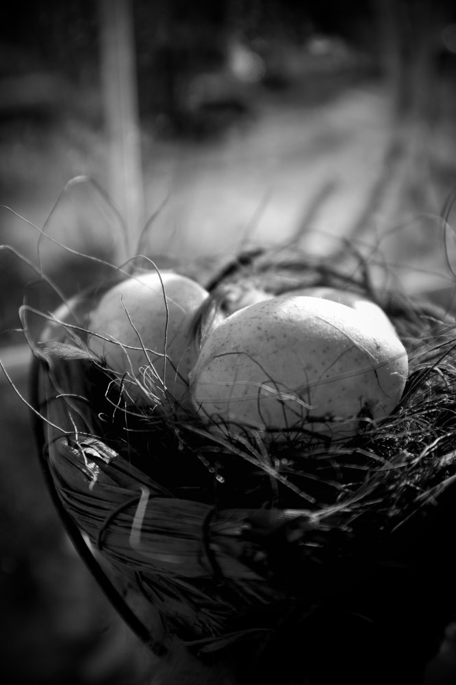 Photograph by Марина Шамич