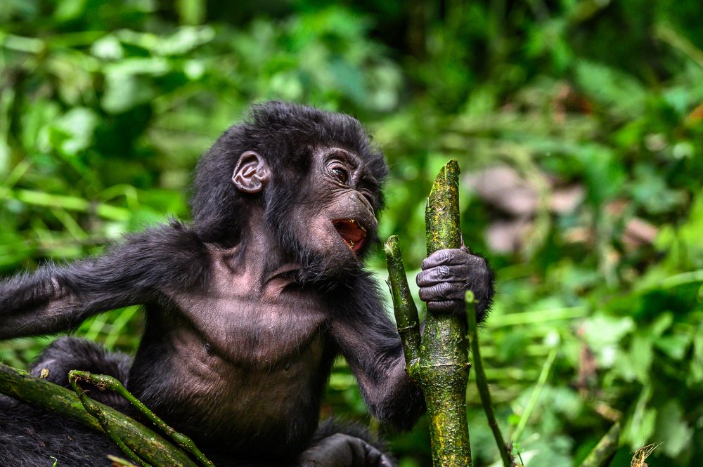 Photograph by Ricardo Núñez Montero