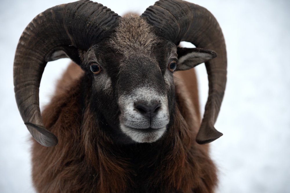 Photograph by Александр Козленков