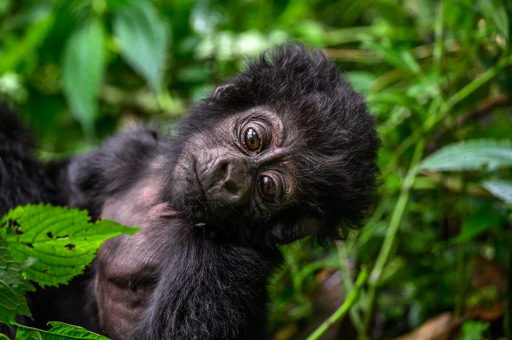 Photograph by Ricardo Núñez Montero