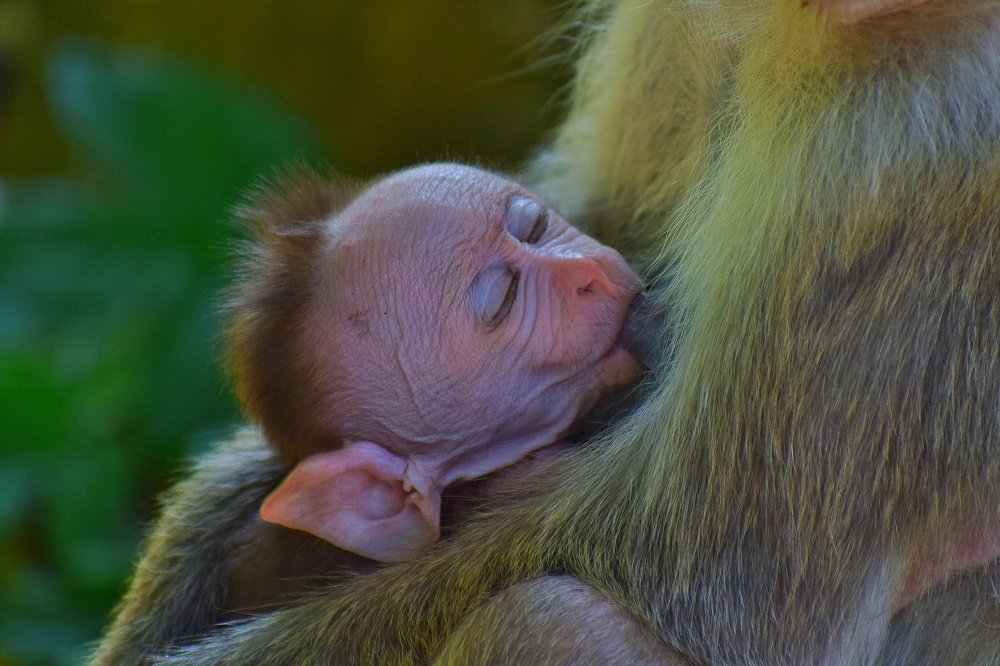 Photograph by Avinash P C