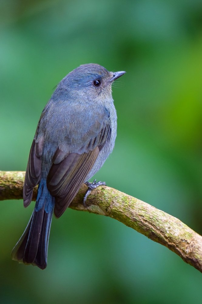 Photograph by Avinash P C