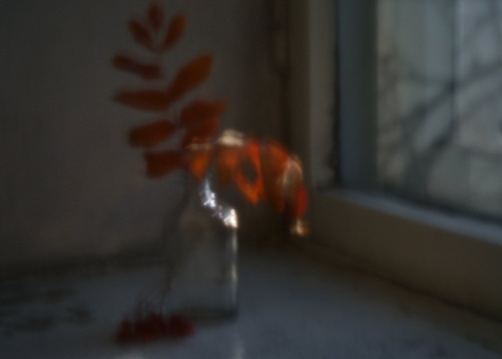 Photograph by Tatyana