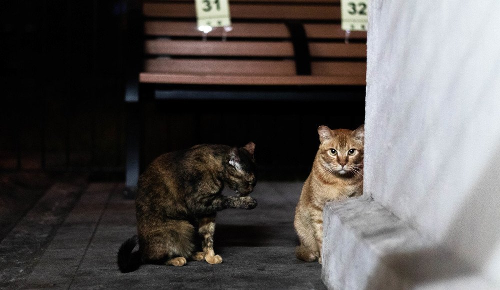 Photograph by Siu Tsun Ming