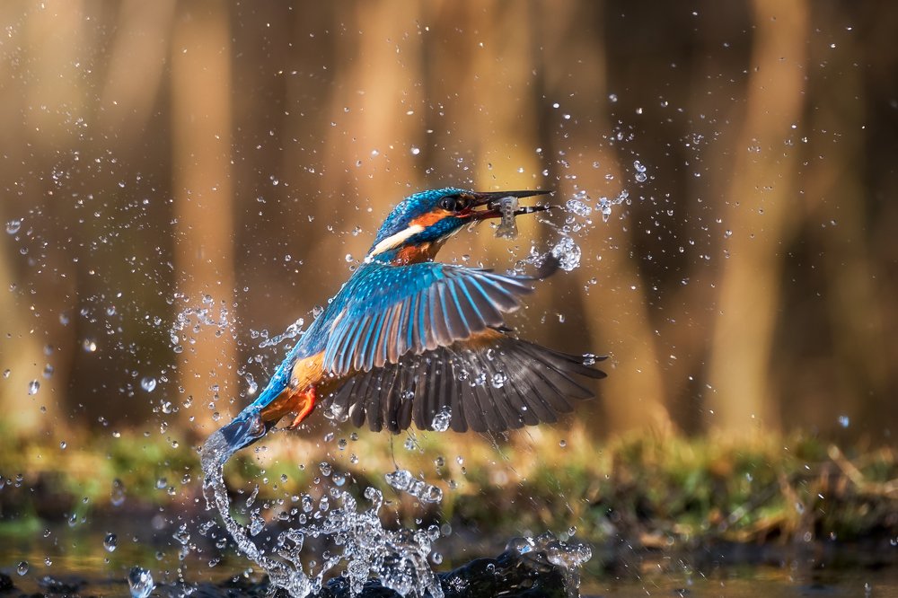 Photograph by mattia chersicola