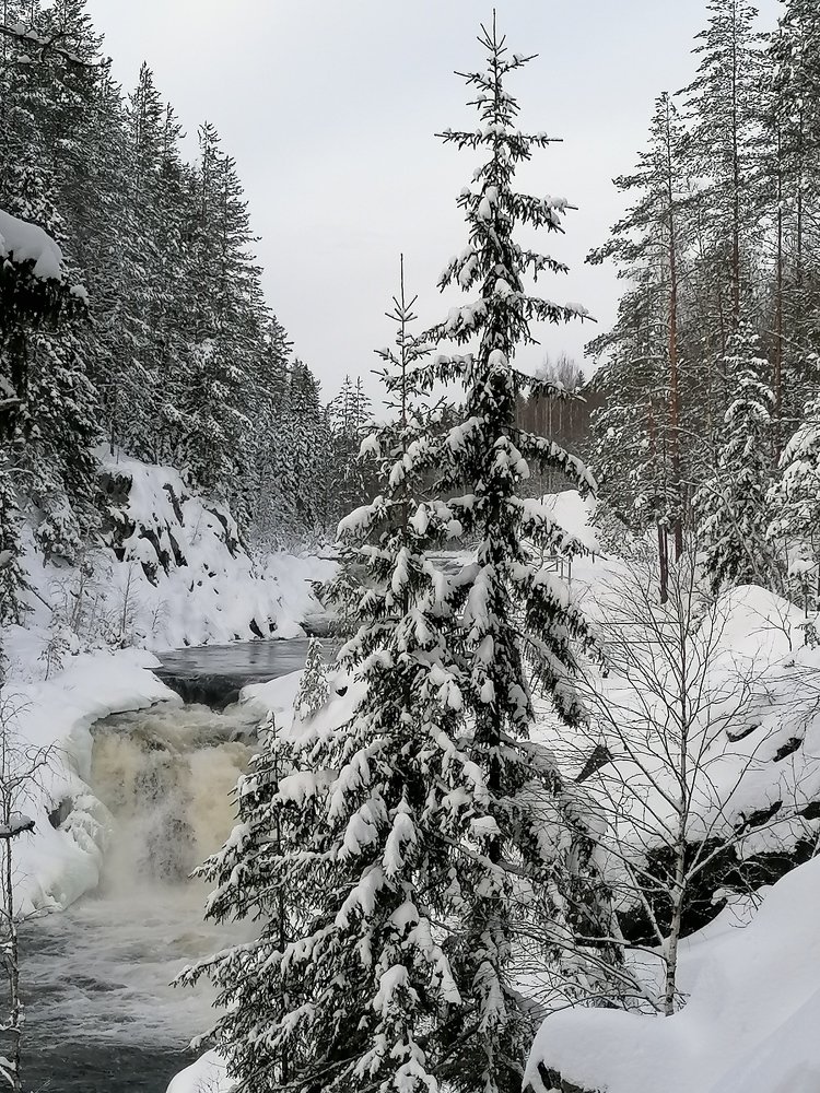 Photograph by Галина