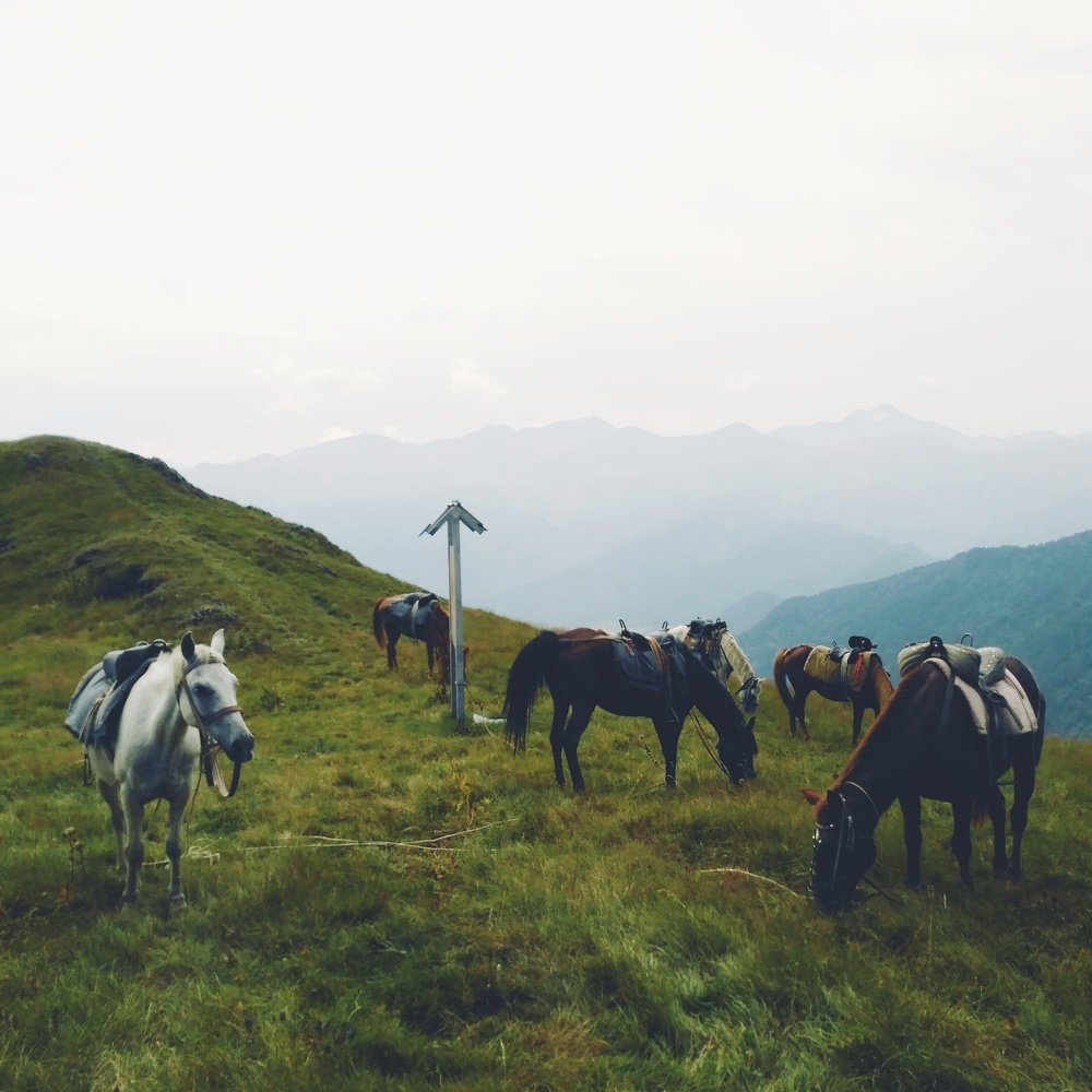 Photograph by Ирина Бондаревская