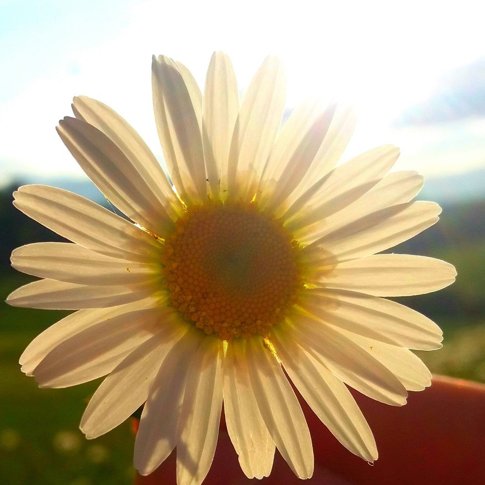 Все просто,,,