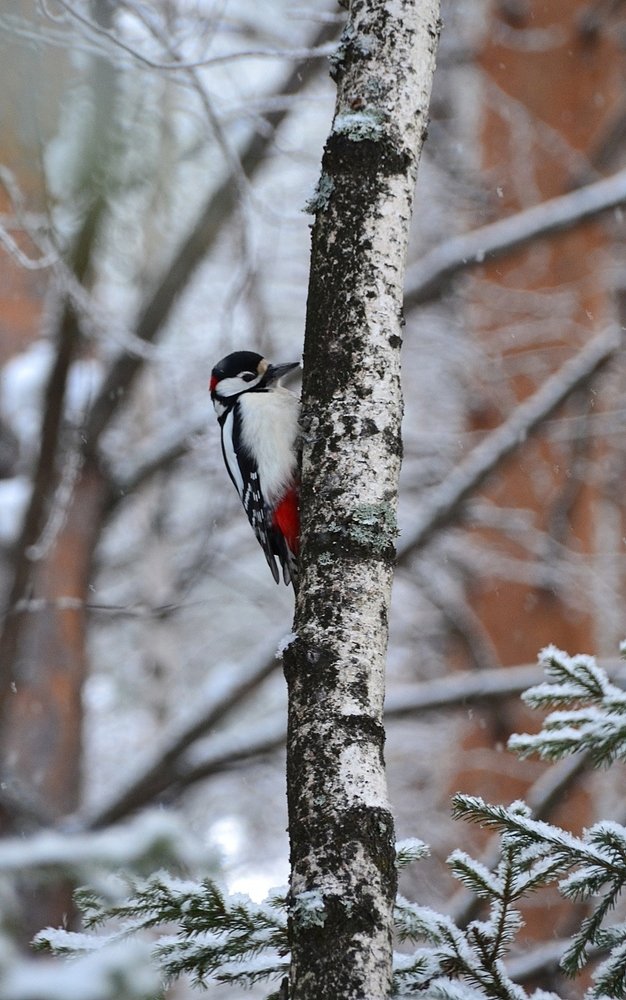 Photograph by Владислав Завальнюк