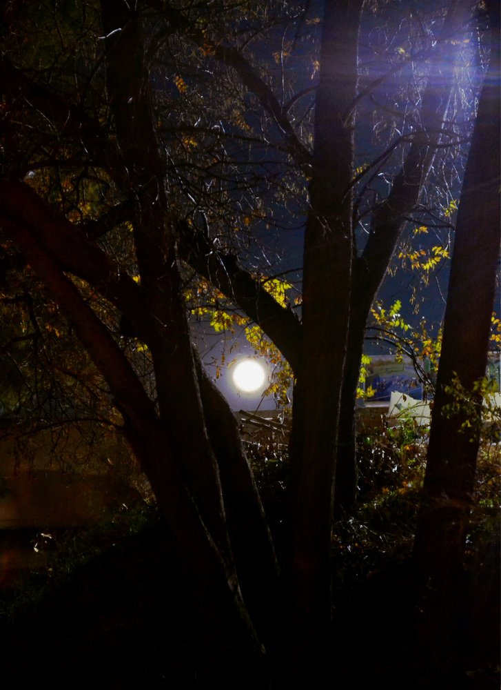 Photograph by Nopi Ranti