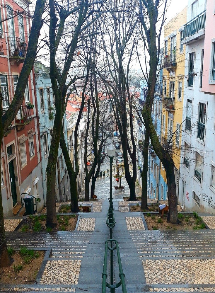 Photograph by João Tomé