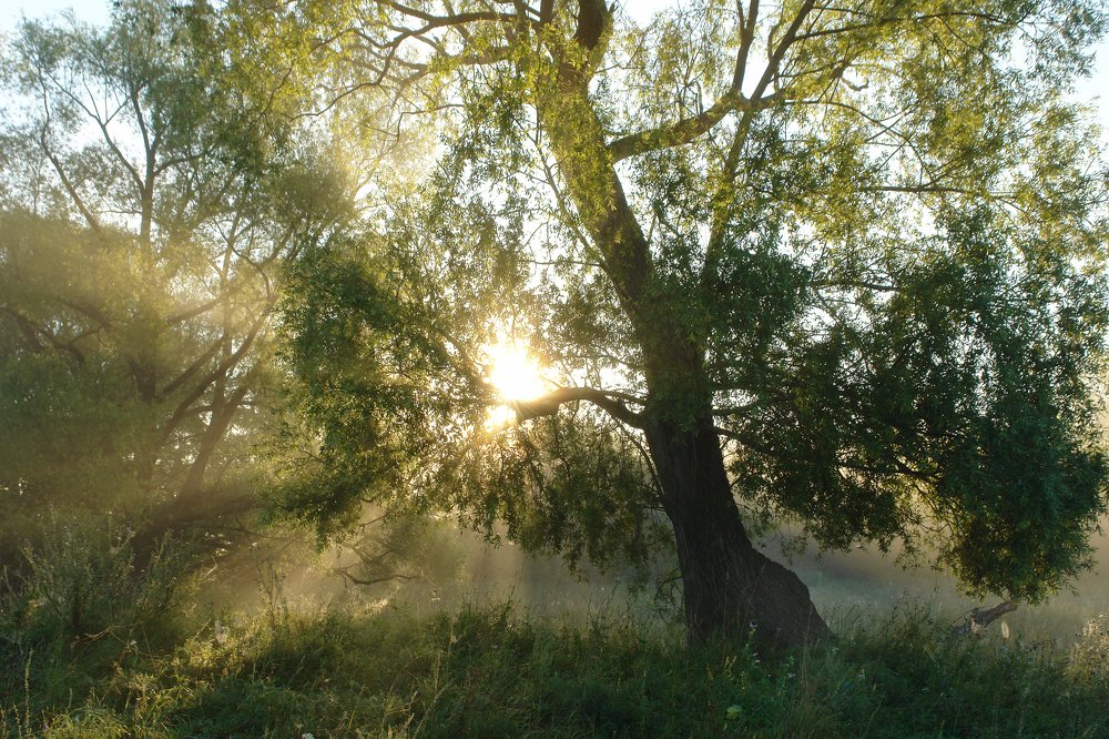 Photograph by Жмакин Михаил