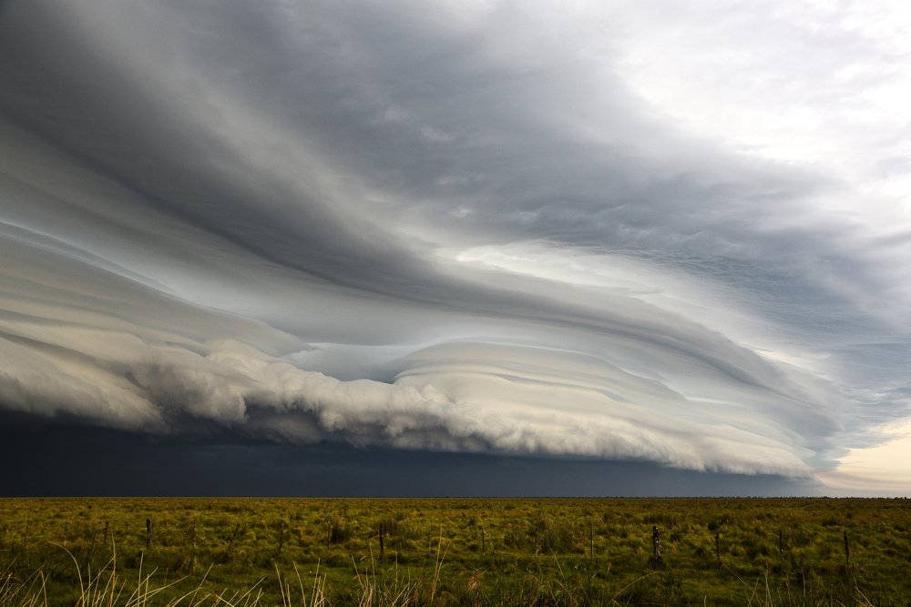 Photograph by SI SABER LOTFI