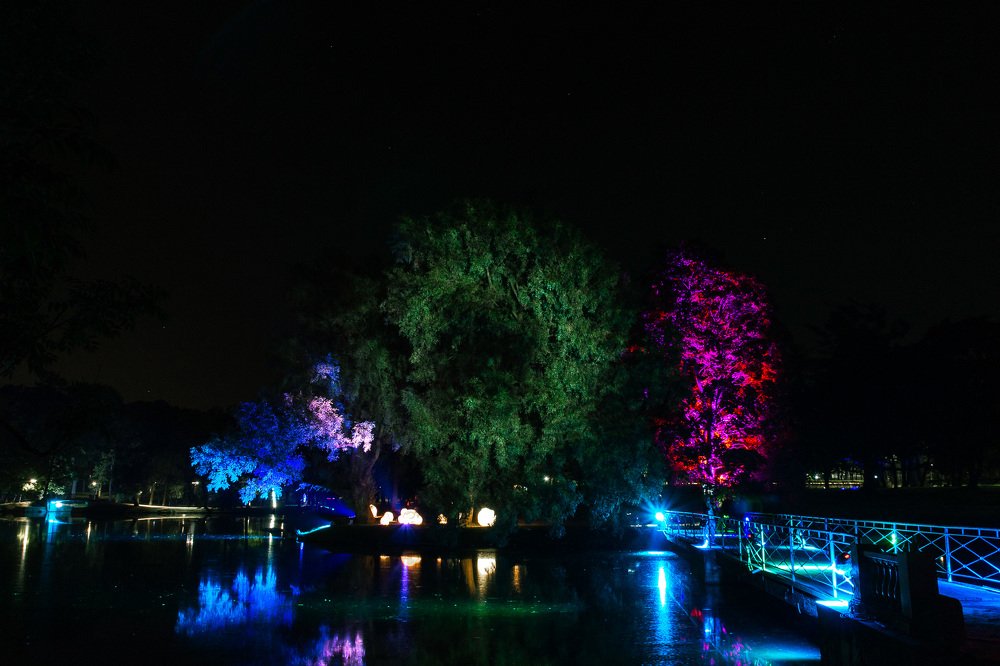 Феерия цвета