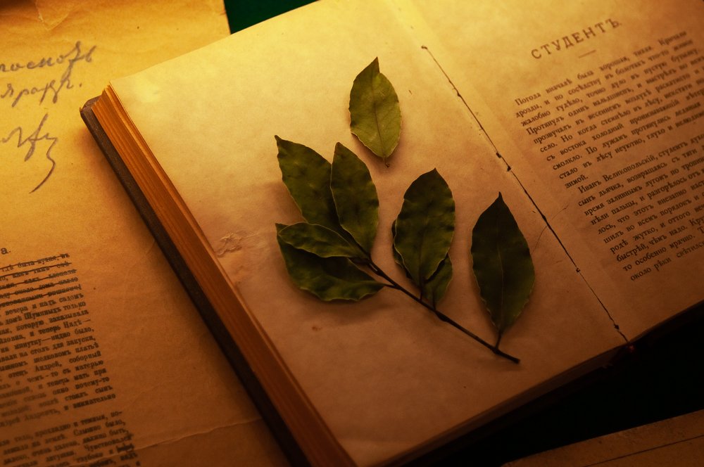 Закладка Чехова