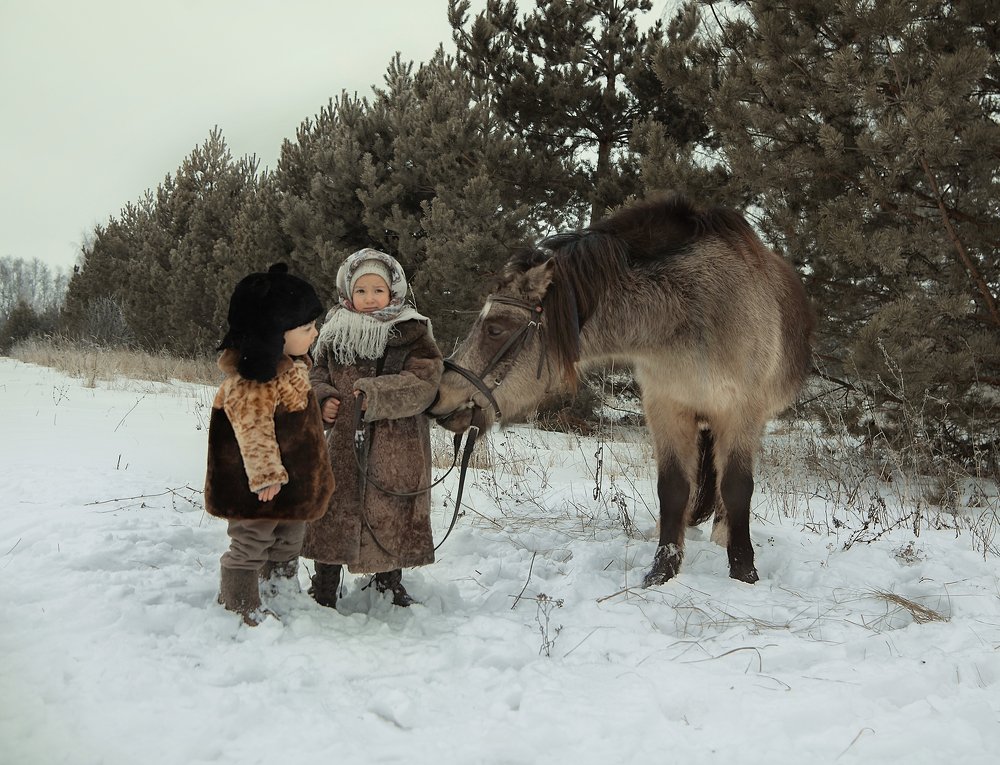 Зимняя прогулка