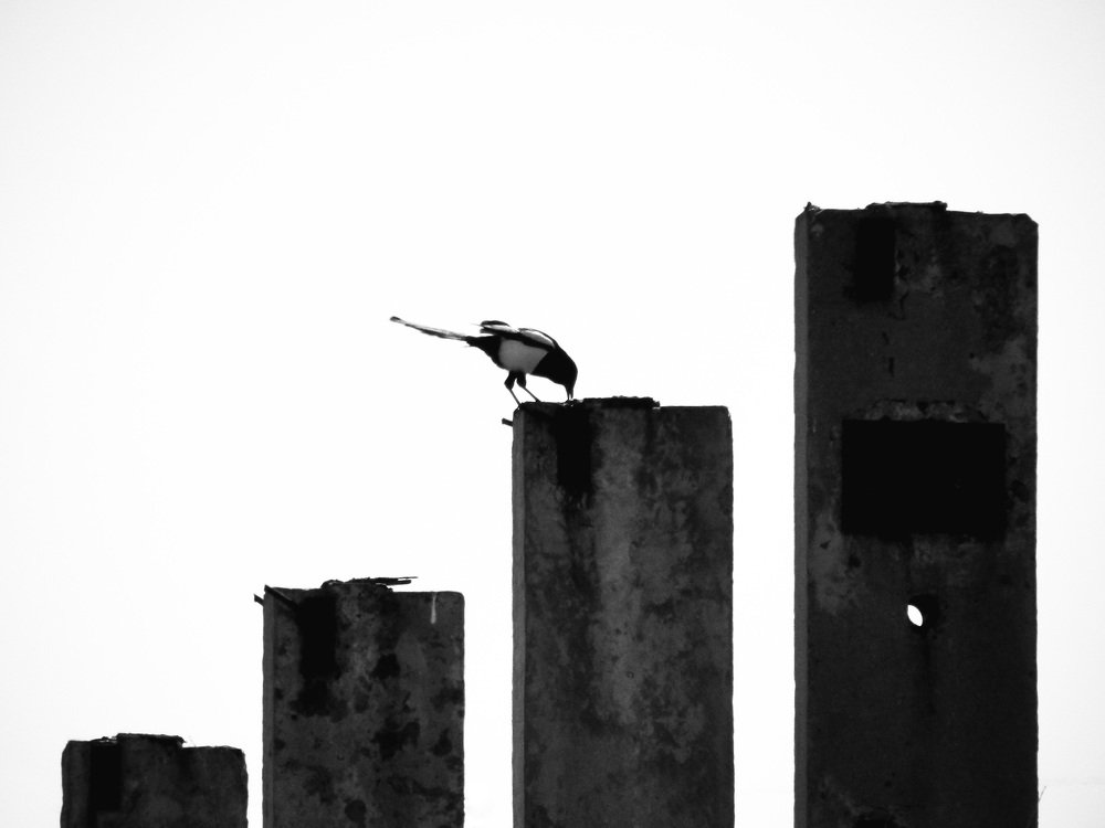 Столпы эпохи ЭВМ