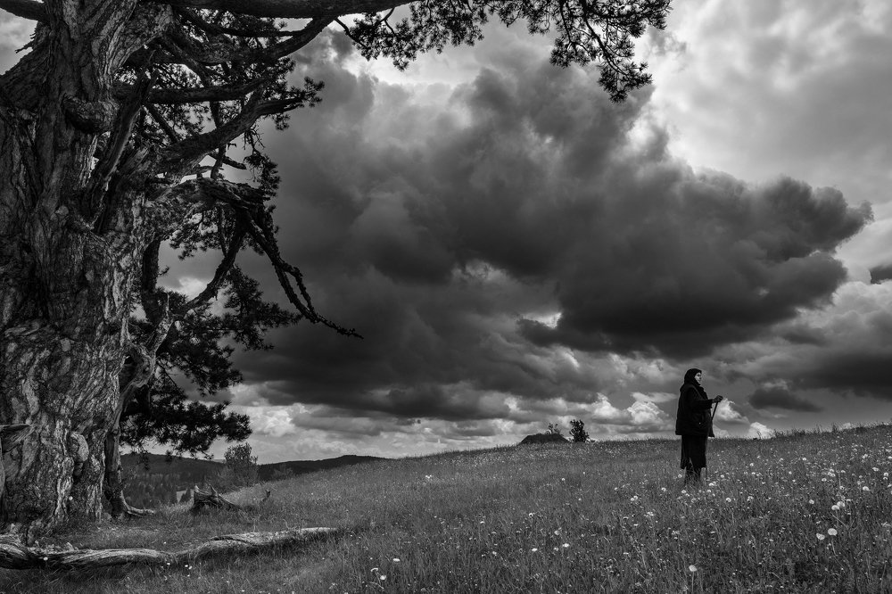 Фотография автора Vishnu Gopal