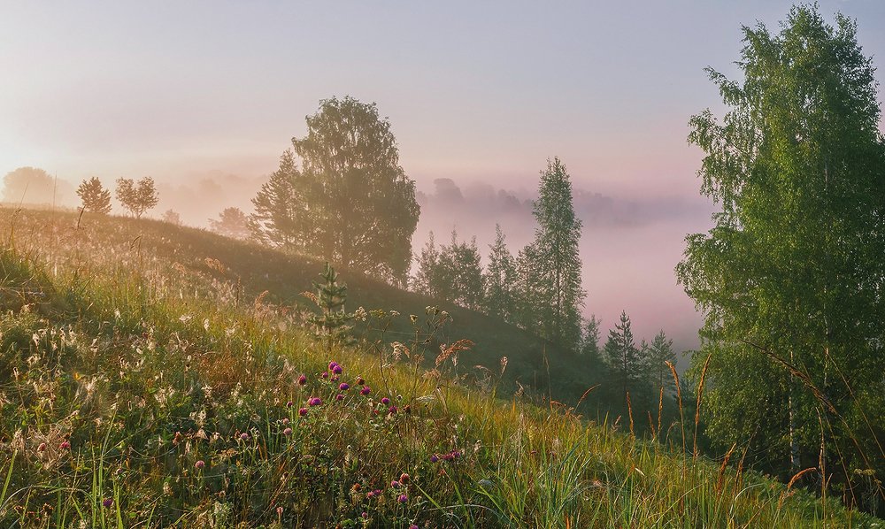 Photograph by Надежда Колеватова