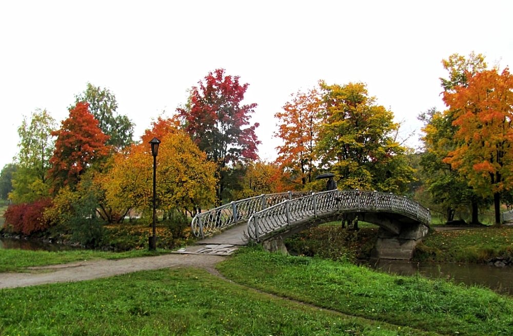Осенний день. Петрозаводск. р Лососинка