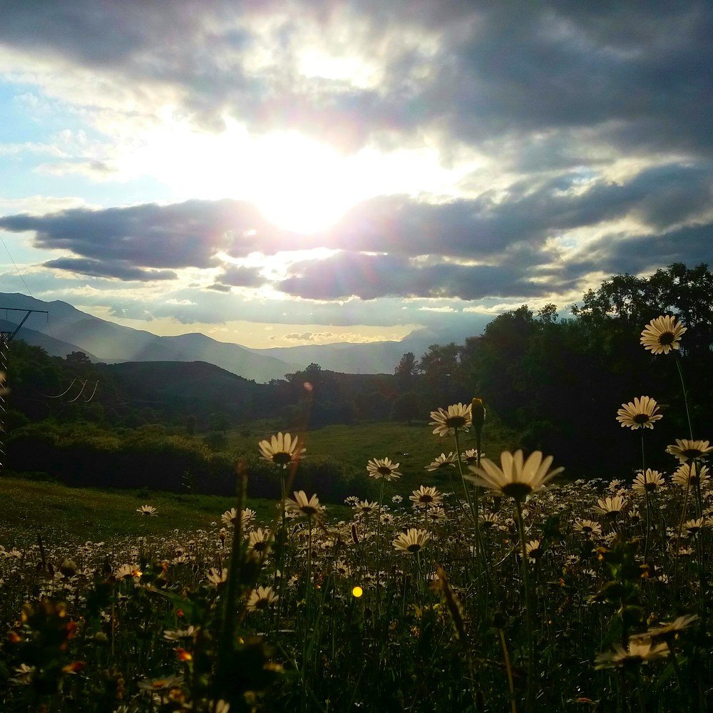 Photograph by Аra Yeribekyan