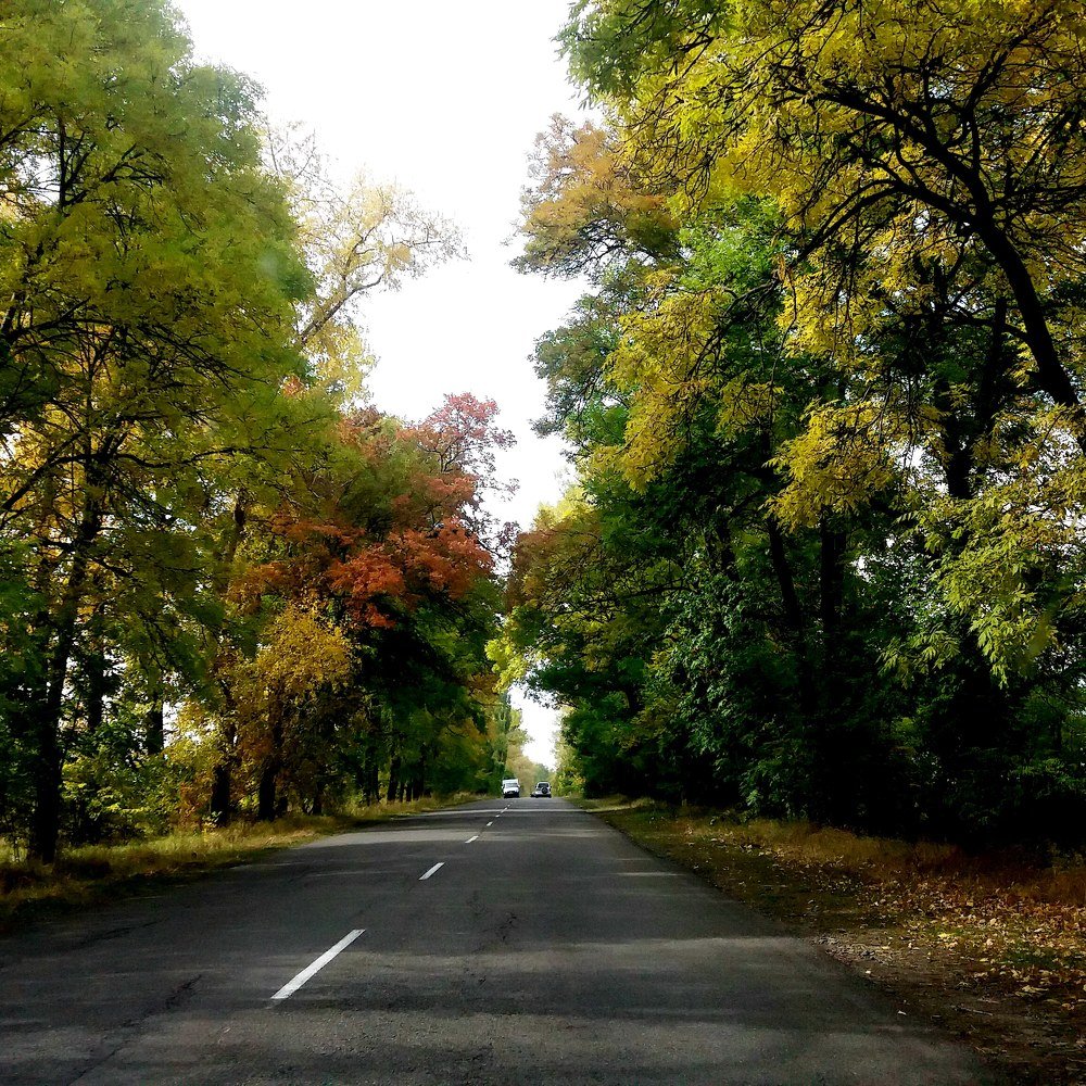 Photograph by Аra Yeribekyan