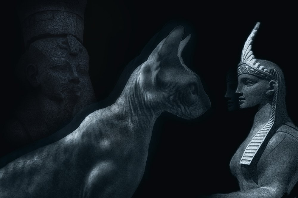 Photograph by Марина Кожевникова