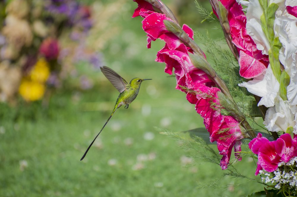 Photograph by Edut Flores Huaman