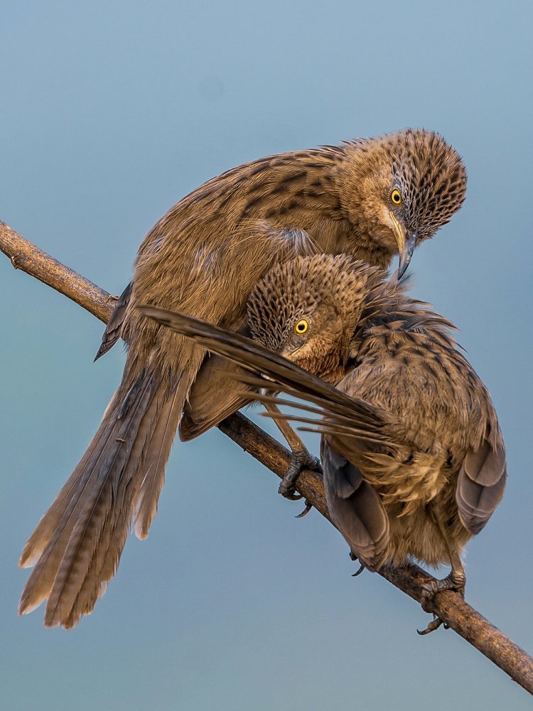 I will protect you my love ♥