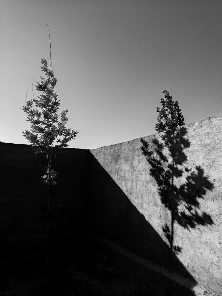 Photograph by Mojtaba Mousazadeh