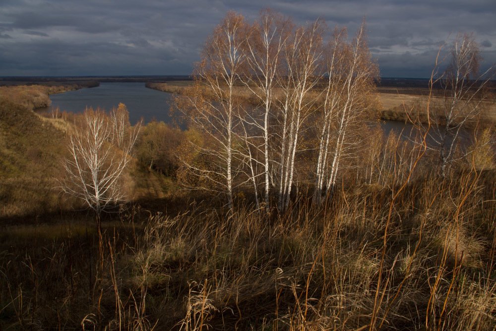 Облетели последние листья.