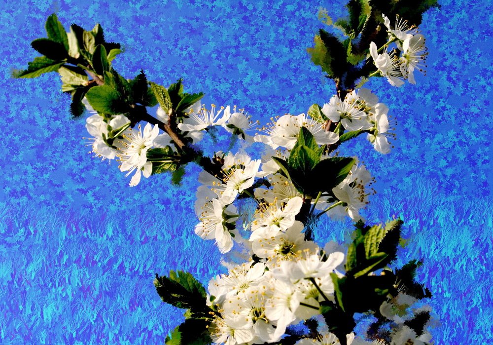 Photograph by петр чиков