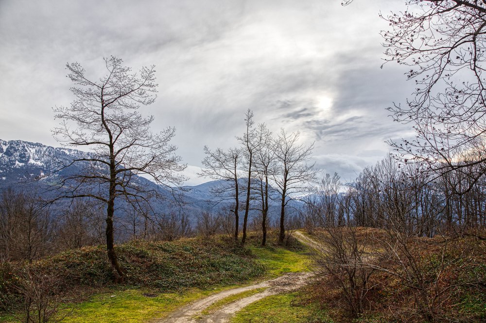 Фотография автора Pejman Sadeghzadeh