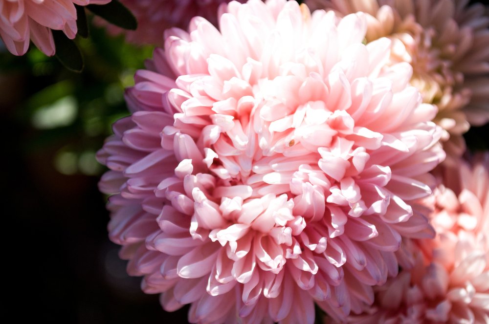 Photograph by Татьяна