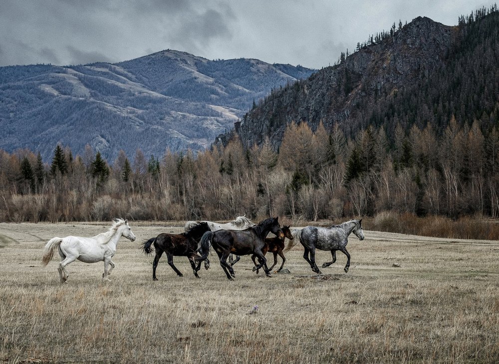 Photograph by Alexey Komissarov