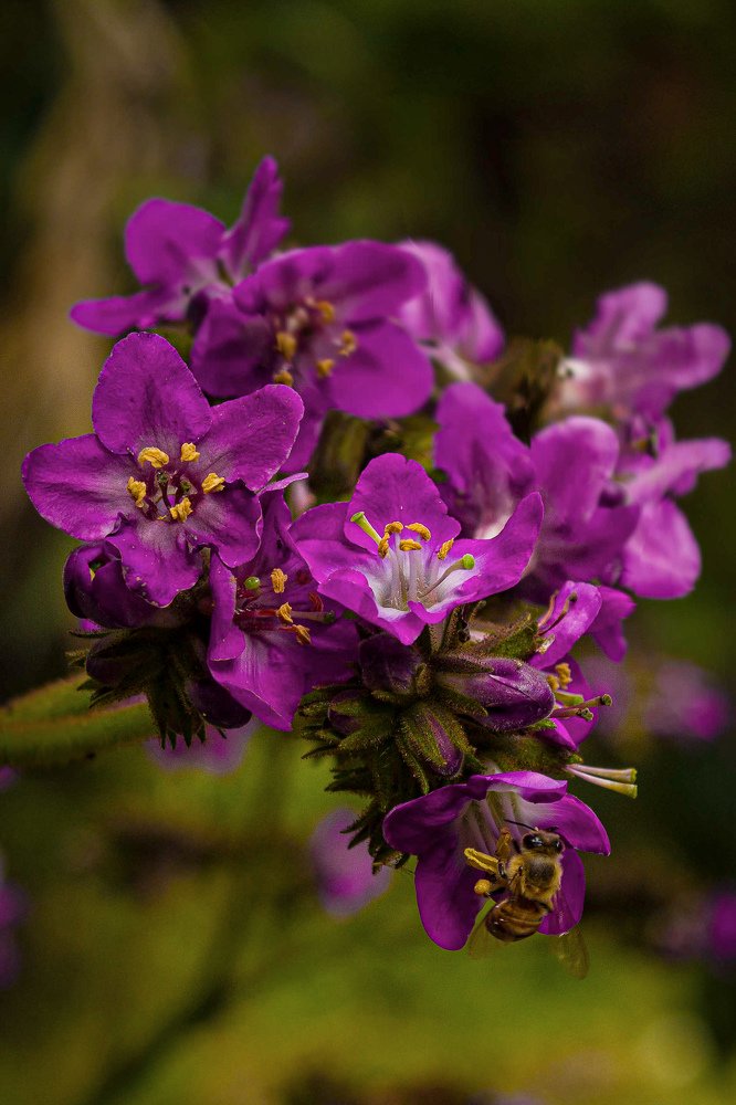 Photograph by Joseph Ordoñez