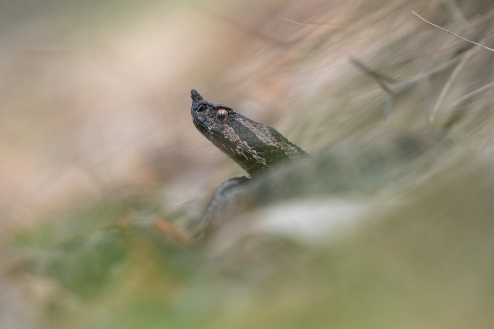 Фотография автора Rok Štirn