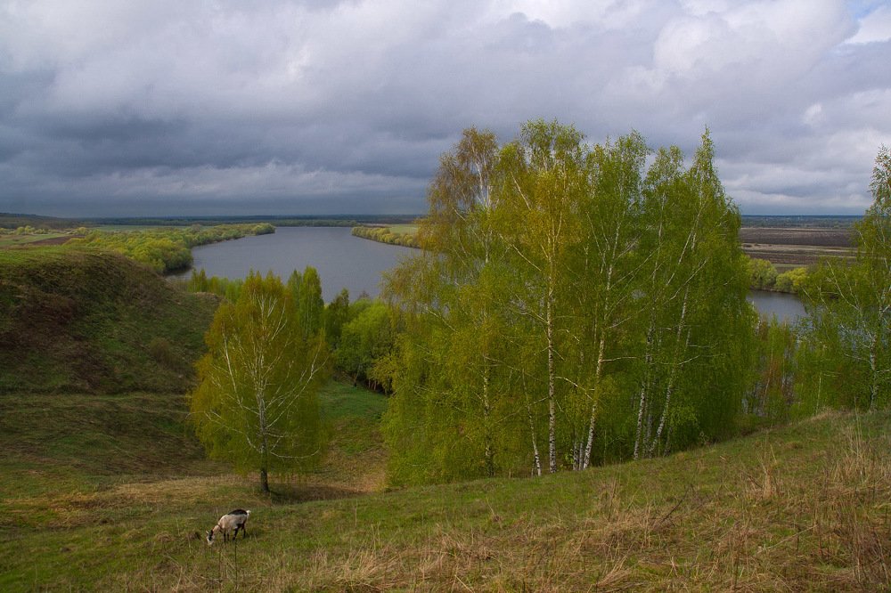 Весенняя пастораль.