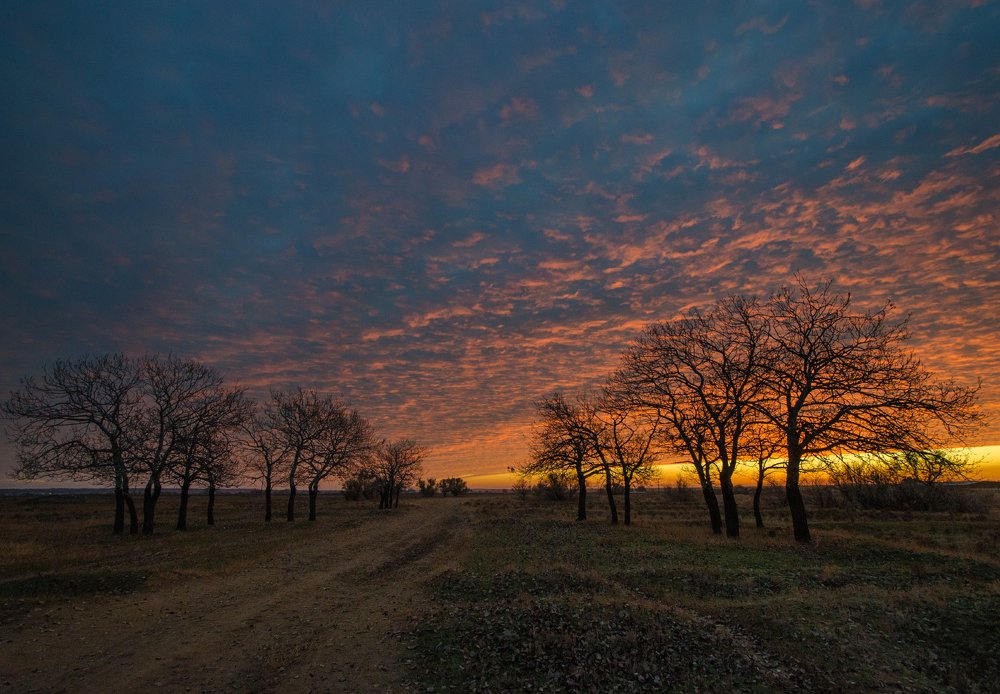 раннее утро
