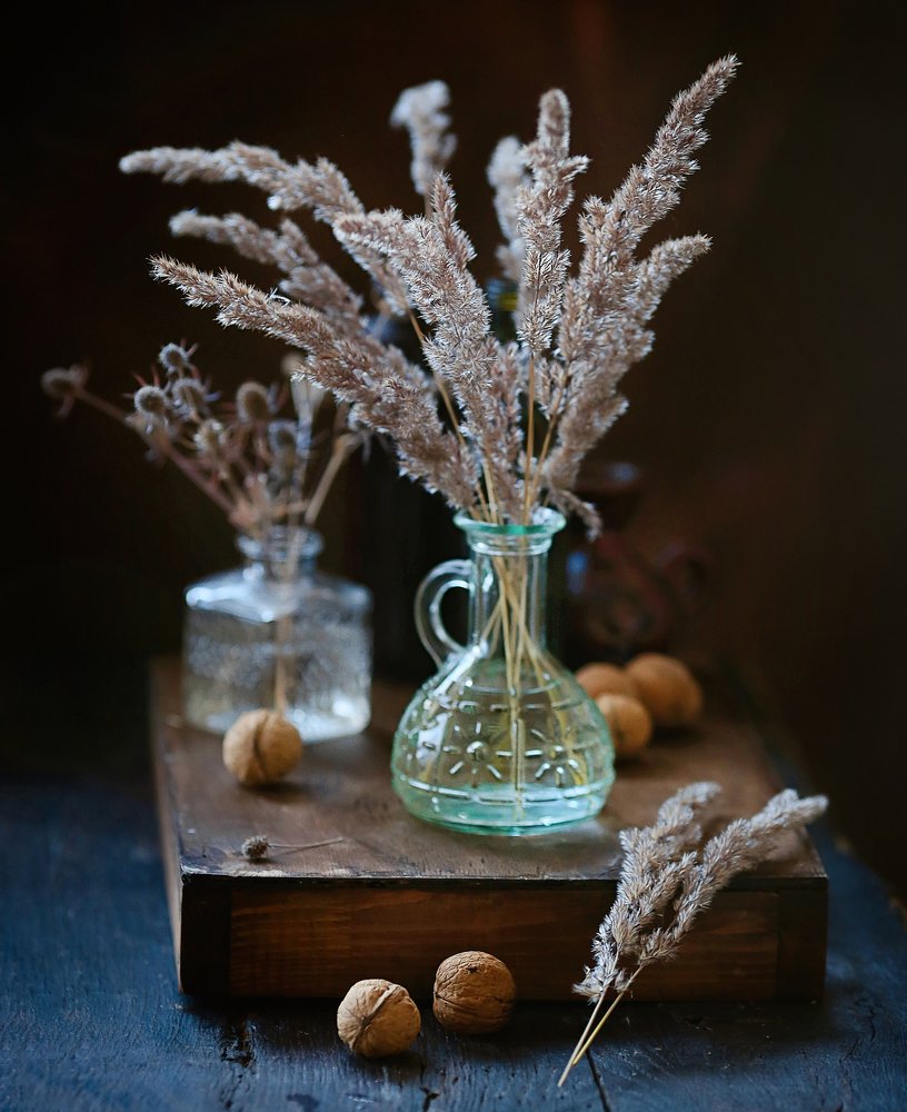 Фотография автора Евгения Грин