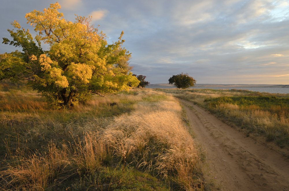 осень. вечерний свет.
