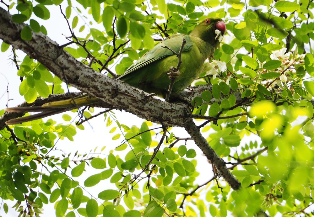 Photograph by Павел Левашов