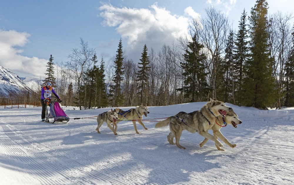Обгоняя ветер