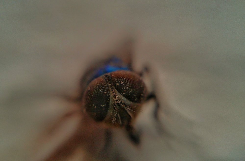 Photograph by Ashutosh Vyas