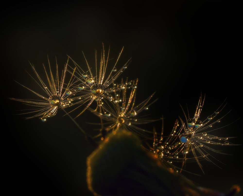 Прощальное танго