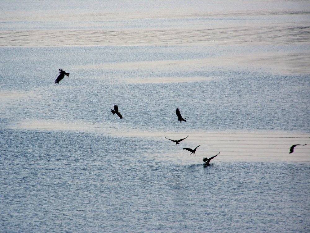 Photograph by Ирина Вассерлауф