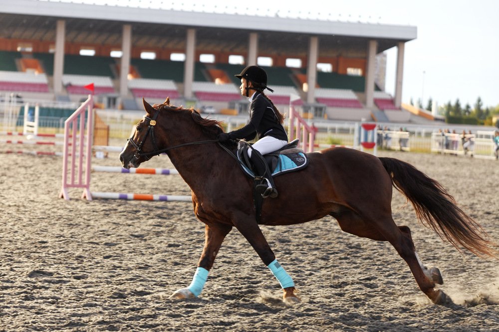 Хладнокровие и страсть